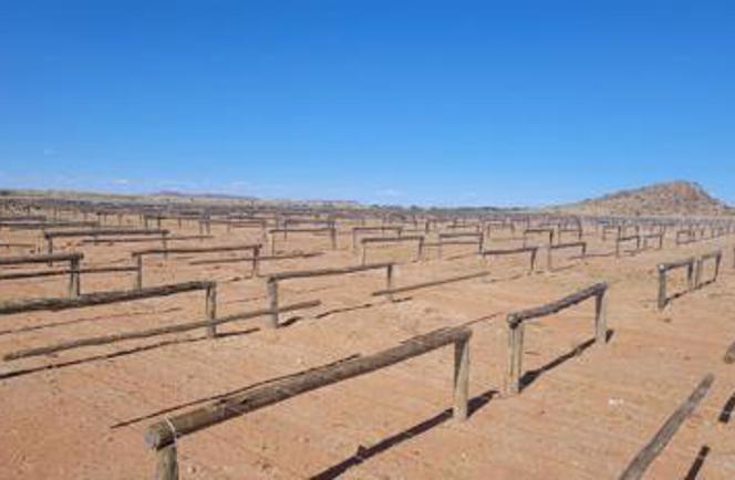 Kgodiso Development Fund invests R28 million in the Northern Cape Raisin industry